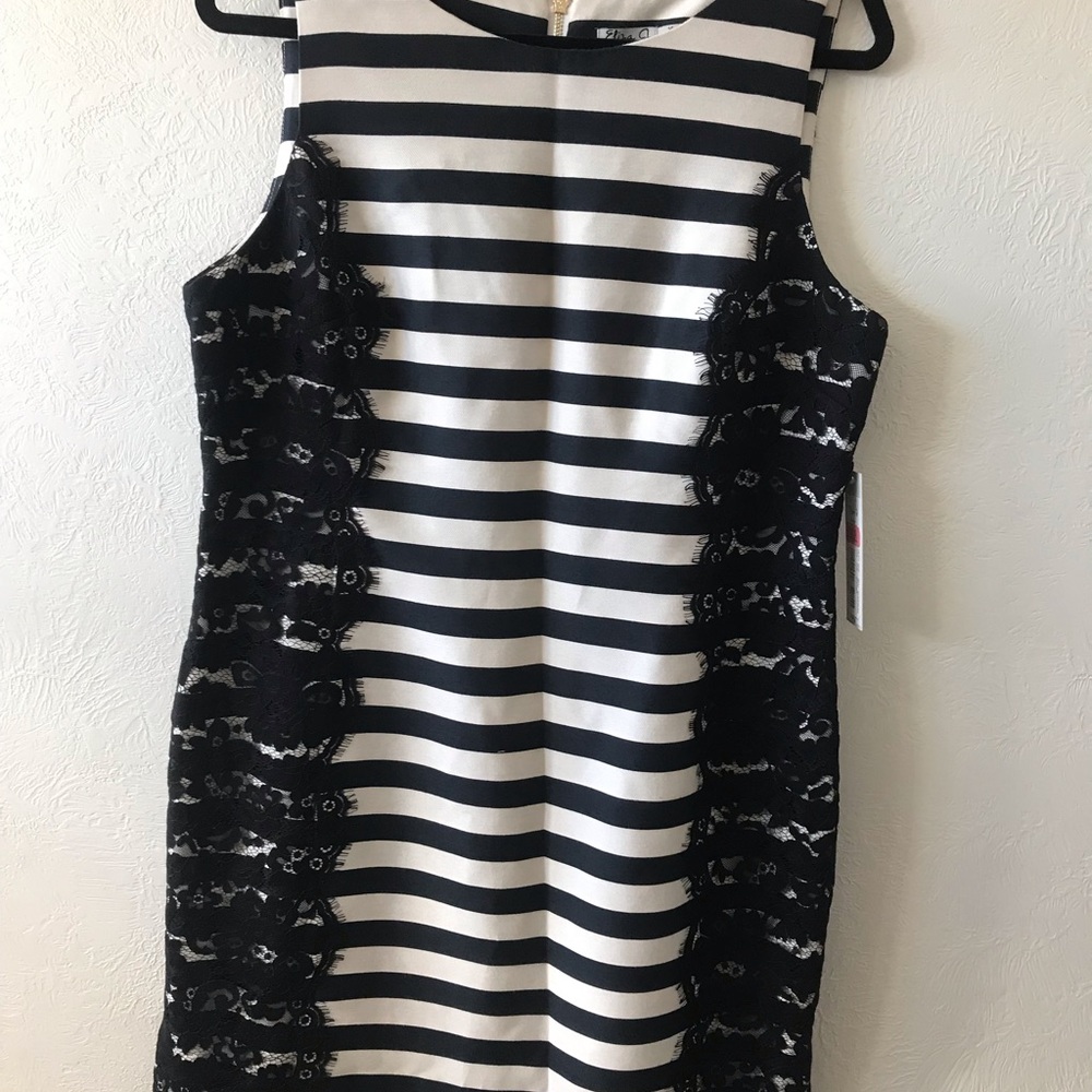 Eliza J Missy Striped Lace Dress